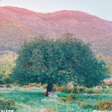 트립닷컴 회원