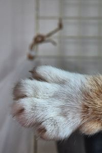 Gratai 康福酒店 （Staycation Approved）優惠