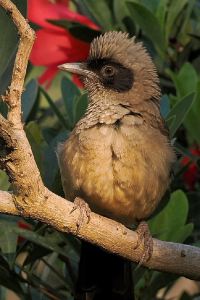 黃心俐 宜蘭礁溪昀居渡假別墅優惠