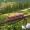 SlowTravel88