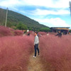 Lợi Su