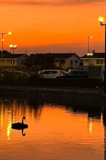 Angela KY 深圳前海寶安中心CitiGO RESERVE歡閣臻選酒店優惠