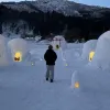 Avatar 1