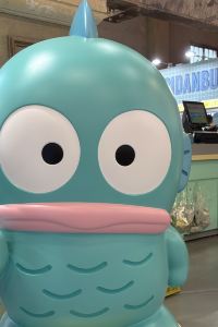 訪客用戶 冠藍軒優惠