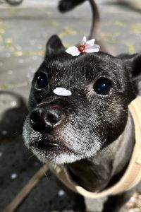 ウォン ソクヒ 라마다 군산호텔 쿠폰