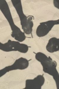 ko Aung + 柚木酒店優惠