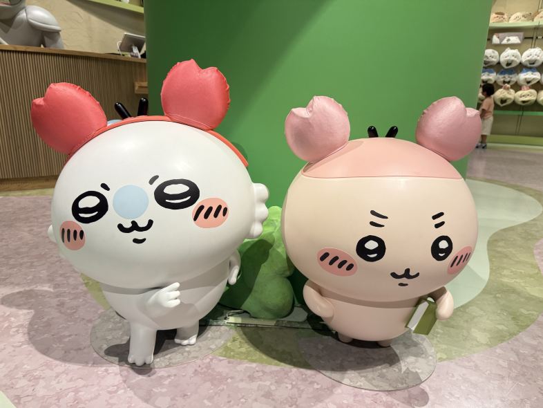 Jac Momo