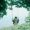 _marilyn02