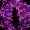 starsoul86