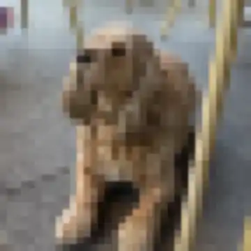 ポルトに留学中