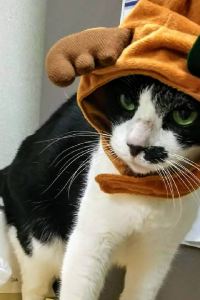 ゲスト ホテル 現代楽園 伊勢原店 - 大人限定 クーポン