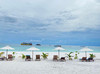 SCN Travel & Agency