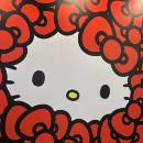 ﾊﾛｷﾃｨﾁｬﾝ