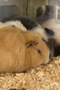 Sisterh00d CityNote希諾酒店（廣州太古滙石牌橋地鐵站店）優惠