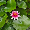 GemmaSuzhou38
