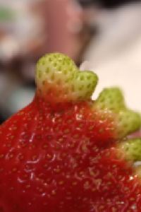 RukkyHatejinnie 大同雲岡大飯店優惠