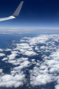 Tassie Ho Ho Ho 香港嘉富海景飯店優惠