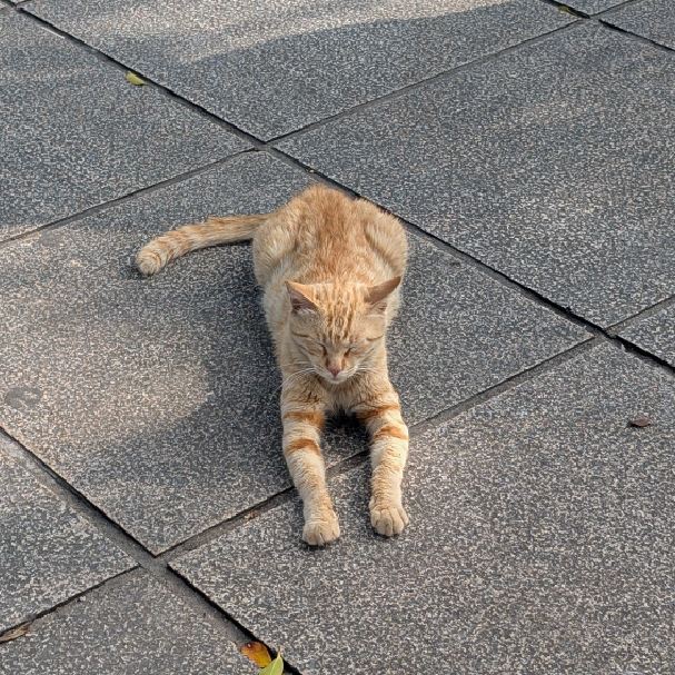 kawanwan