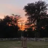 Avatar 1