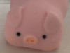PigPigteam