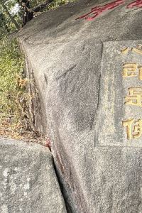 Winniiiii RACV皇家松樹度假村優惠