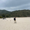 La Dolce Vita, HK