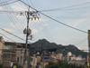 매운체리