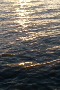 임네닉 湯元舘 クーポン