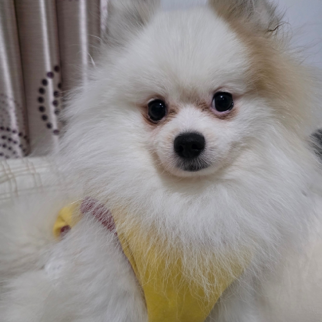 Nana Day