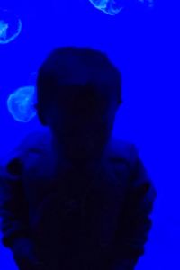 ccty5533 深圳奈威S酒店（西麗地鐵站店）優惠