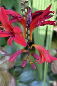 PJ traveling 曼徹斯特哥譚酒店優惠