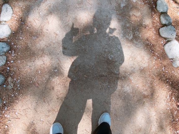 user-avatar