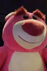 楊志濠 東京灣東方飯店優惠