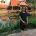 象牙瀑布