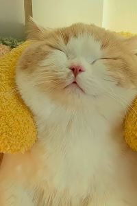 Jony h 承億文旅（臺中鳥日子）優惠