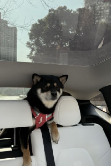 EricLe 天然温泉 浪華の湯 ドーミーイン大阪谷町 クーポン