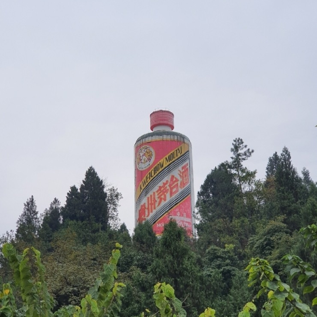 스티브김씨