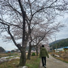 규진아빠