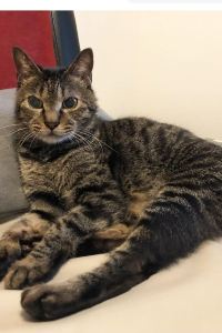 うっちょん KIKI知床 ナチュラルリゾート クーポン