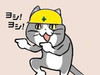 T NOBU