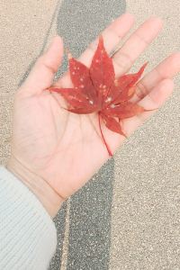訪客用戶 素萬那普飯店度假村優惠