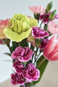 8.Selim Silverland Sakyo 飯店及水療中心優惠