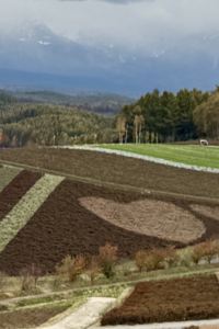 Shirleyng1027 OMO7 旭川 by 星野集團優惠