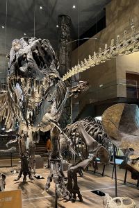 あお2000 クインテッサホテル札幌 クーポン