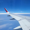 lie wing ip
