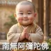 Dhammiko