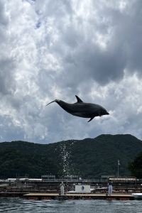 Yandy Lau 巴黎拉斯維加斯娛樂場度假飯店優惠