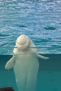 m.m.m___m.m.m シタディーンセントラル新宿東京 クーポン