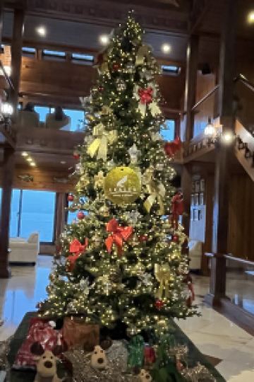 N Hsu 南投日月潭儷山林會館優惠