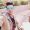 SamShah